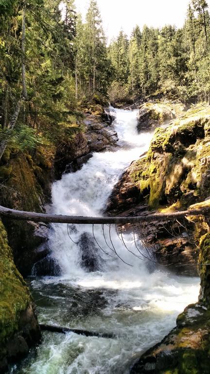 Mulvehill Creek Wilderness Inn And Wedding Chapel Revelstoke Bagian luar foto