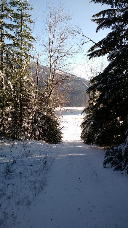 Mulvehill Creek Wilderness Inn And Wedding Chapel Revelstoke Bagian luar foto