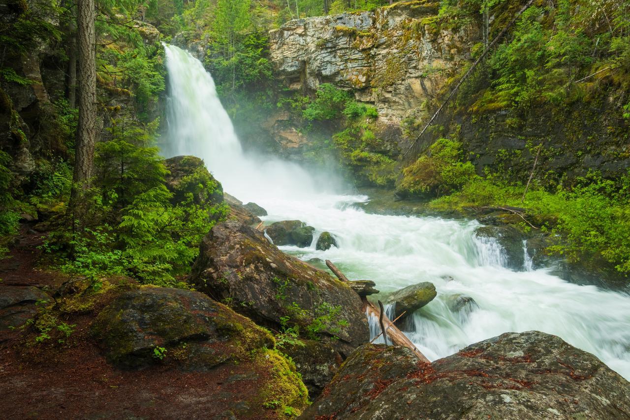 Mulvehill Creek Wilderness Inn And Wedding Chapel Revelstoke Bagian luar foto