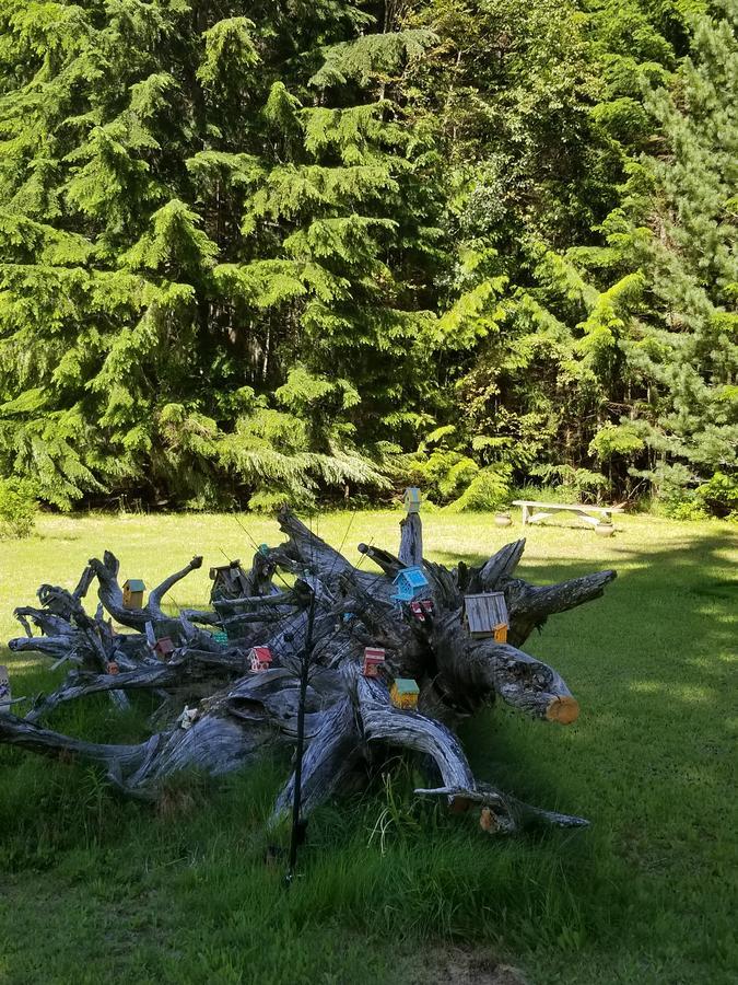 Mulvehill Creek Wilderness Inn And Wedding Chapel Revelstoke Bagian luar foto